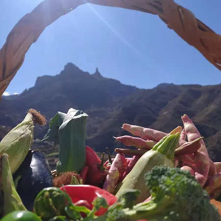 בית נופש Ecoartejeda Casita Original *