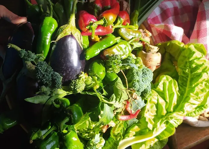 Ecoartejeda Casita Original *