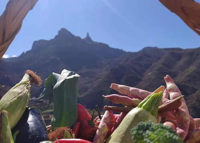 度假居 Ecoartejeda Casita Original *